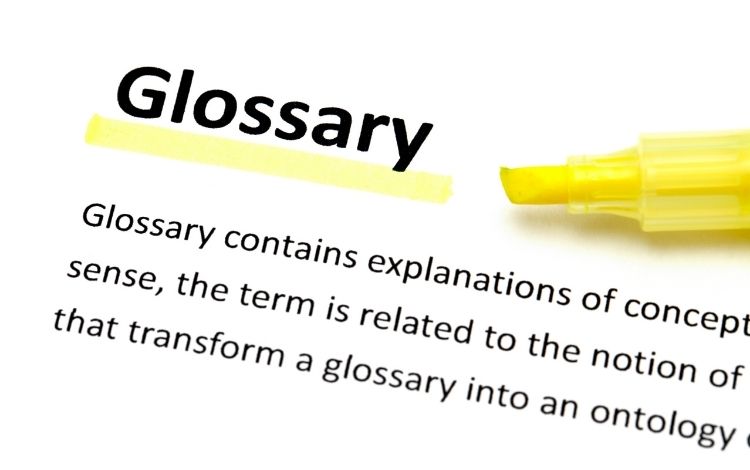 Teknik Katalog Çevirisinde "Terim Sözlüğü" Oluşturmanın Önemi: Şirket Hafızanızı Nasıl Korursunuz?